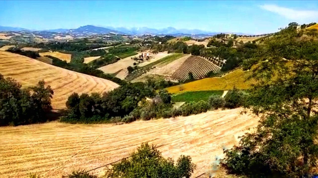 La Mia Casa Nelle Marche Bed & Breakfast